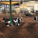 현대천막사 이미지