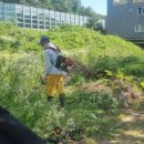 역골중앙로41번길 이미지