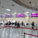 371 | 부산김해공항 오키나와 진에어 LJ371 탑승후기