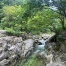 도마치자연그대로캠핑장 이미지