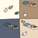 순진한 강아지 이미지