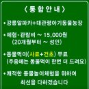 와우 동물농장 | 강릉동물원 &#39;대관령아기동물농장&#39; 18개월 아기와 함께 한 만족 후기/강릉아이와가볼만한곳 추천