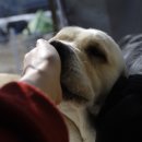 살랑살랑 이미지