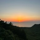 맑은운동화빨래방(성산점) | 제주도 동쪽 명소 성산일출봉 가는법 시간 입장료 주차 리뷰