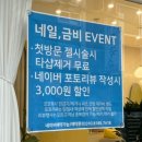 네일,금비