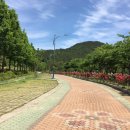 밀양아리랑대공원 화장실 이미지