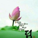 서귀포노인복지관 네이버블로그