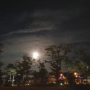 미단씨티4호공원화장실 이미지