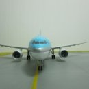 A300 Daum카페