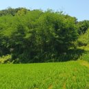 김종호농장 이미지