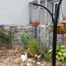 노루마당 이미지