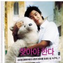 봄날의 곰 이미지