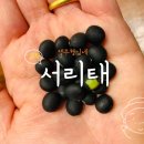영주좋은농부들