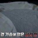 6시간 동안 마을주민 56명을 죽인 경찰 이미지