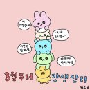 드림제이 이미지