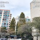 신반포2차아파트 이미지