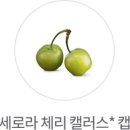 스튜디오그린 - 제주시 구산로 49 | 스튜디오그린