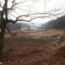 꿈에정원 이미지