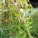 흥덕농장 이미지