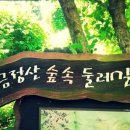 단지장골2 네이버블로그