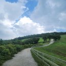 홍이목장 이미지