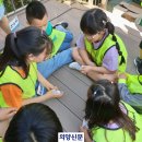 효촌초 이미지
