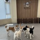 황자반놀이터 이미지