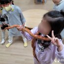 산호초등학교(병설유치원) 이미지