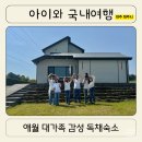제주 서쪽 애월 감성숙소 제주고요 아이랑 대가족 독채 2박3일 후기