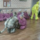 신광노인복지센터 이미지