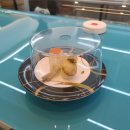 씨푸드127
