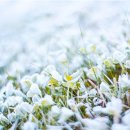 오늘의기분 이미지