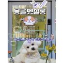 몽글펫살롱 | 평택 고덕[몽글펫살롱]애견스파 가능한 반려견 미용실 내돈내산 찐후기/애견미용 잘하는 곳