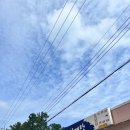 월송보신탕 이미지