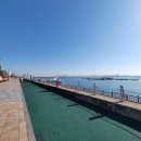 춤추는 바다분수 | 목포놀거리: [평화광장] 후기/ 춤추는 바다분수 있대요. 택시기사님이.