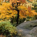 새재당구장 이미지