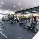 아인스 휘트니스 이미지