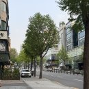 스시결 - 강남구 언주로168길 16 | [청담 스시결 솔직 후기] 30만원 디너, 이 가격에 이 구성…? 재방문은 힘들 듯