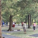 대가마트 이미지