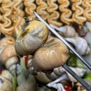 테오푸드