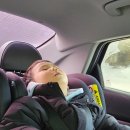 가족뮤지컬<꼬마버스 타요> | [육아] 내돈내산 33개월 아이랑 가볼만한 곳 | 꼬마버스 타요 뮤지컬 관람 후기