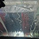 달맞이주유소 이미지