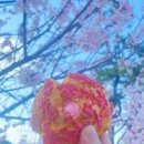 강's화산빵