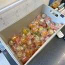 동학산 공원 | [동탄] 동탄맛집 수국정 한우수육 먹고 몸보신 제대로