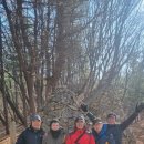 우면산3-15 이미지