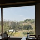 세븐일레븐 안성원곡중앙점 | 안성::원곡 칠곡저수지 근처 불향가득한 쭈꾸미 맛집&lt;속초집&gt;_내돈내산 후기