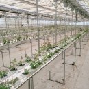 예송 농장 이미지