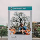 신현원창동 행정복지센터 이미지