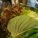 시흥-정왕-시흥-031 이미지