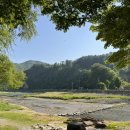 무릉도원면-14 이미지